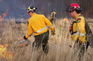 Union raises concerns about wildfire preparedness