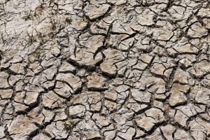Province to invest in drought and flood protection