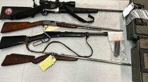 Lac La Biche man in custody following weapons complaint