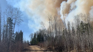 Saprae Creek wildfire under control