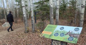 FireSmart Interpretive Trail opens in Thickwood