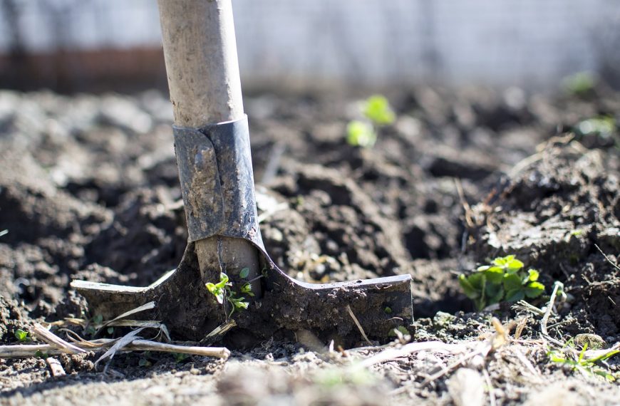 The Top Summer Jobs for High Schoolers on the Canadian Prairies