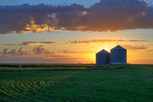 Career Day – Farmer Leon Ternan