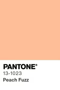 Paint The Town Peach? : 2024’s Reigning Color, ‘Peach Fuzz’!