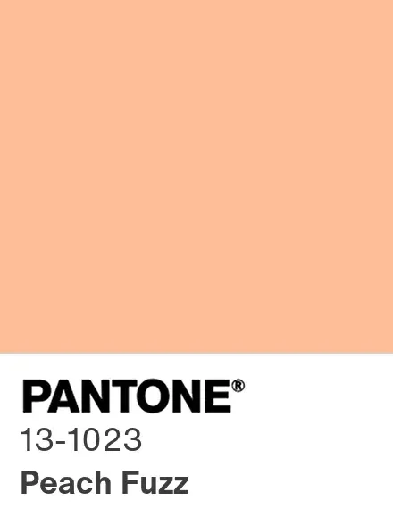 Paint The Town Peach? : 2024’s Reigning Color, ‘Peach Fuzz’!