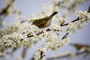 What Exactly Is The Spring Equinox?