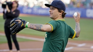 Billy Joe Armstrong Vandalized Rogers Centre