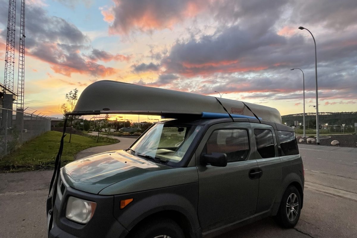 Canoe ownership is not for Arachnophobics!