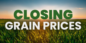 Closing Grain Prices Tuesday, October 24