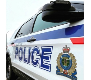 Man charged after weapon complaint in Moose Jaw