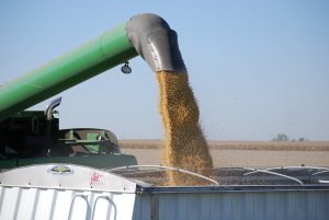 2023 Harvest almost done in Saskatchewan