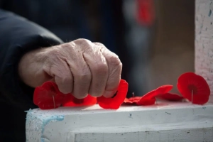 Province introduces poppy-wearing legislation