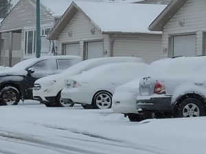 Motorists request 4,000 calls for service from CAA Saskatchewan