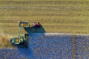 Price projections for pulses are up, while wheat, barley and oats are lower: AAFC Outlook Report