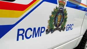 Motorcycle Hits Cow on Highway 35, Two Dead