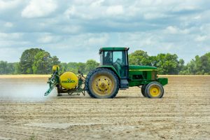 Rainfall comes at a good time for producers