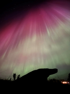 Solar storm brings colorful auroras