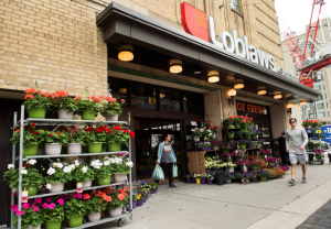 Competition Bureau probes alleges anticompetitive conduct by Loblaws, Sobeys owners