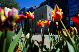 Bank of Canada cuts key interest rate for first time in more than four years