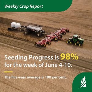 Sask Crop Report: most are done seeding, but some are delayed by rainfall