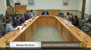 Sask. Party MLAs deflect committee attempt to call witnesses about gun allegations