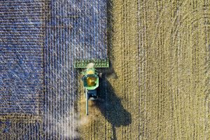 Harvest getting closer to halfway point, yields variable around Saskatchewan