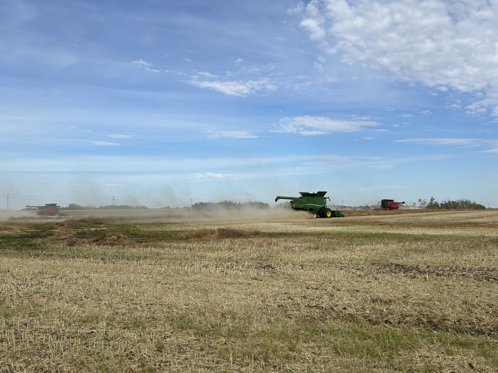 Farming for health back in the field