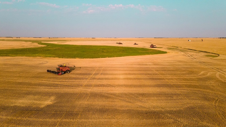 Manitoba Harvest Passes Halfway Mark:  Crop Report