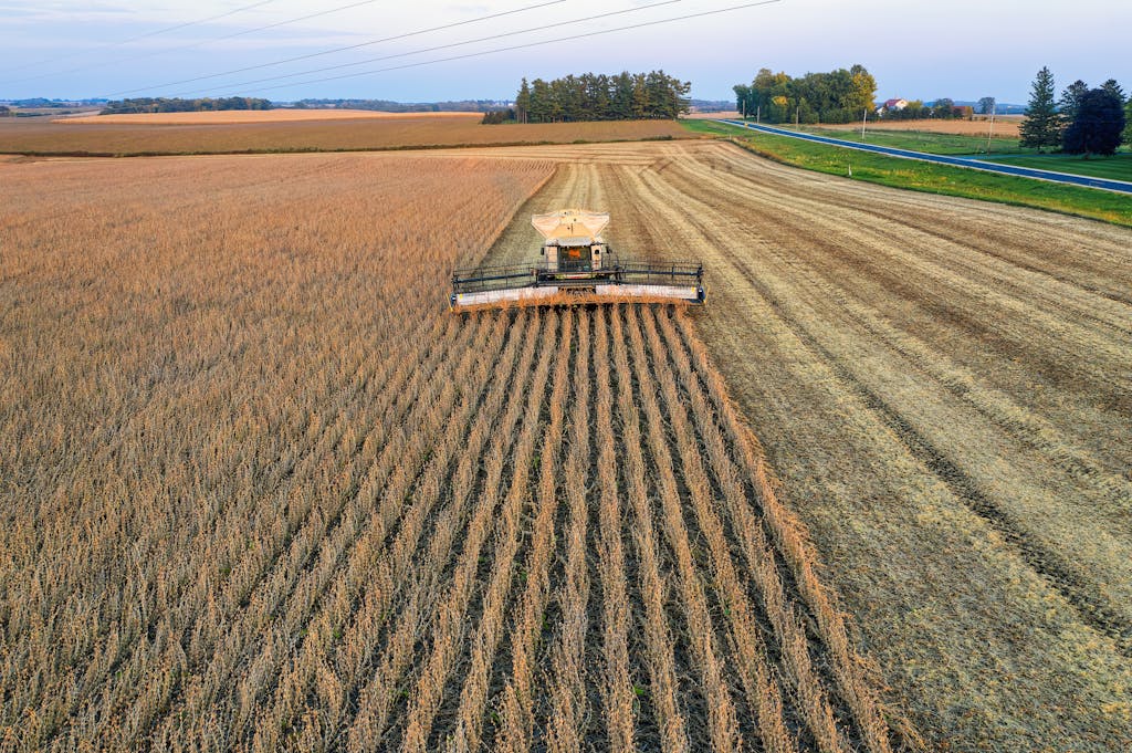 Combines halted by rainfall, but its welcomed by drier areas and livestock producers