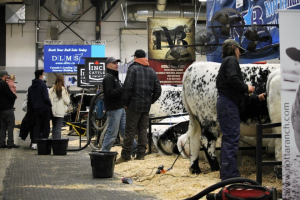 Study shows Agribition has major impact