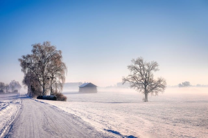 Happy First Day of Winter!