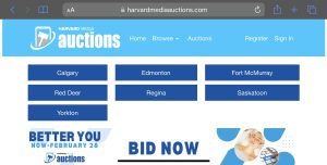 Treat yourself, your family and friends, with the “Better You” Online Auction!