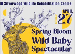 The Spring Bloom Wild Baby Spectacular is April 27th!