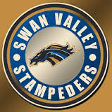 Swan Valley Stampeders struggles continue in road loss to Portage