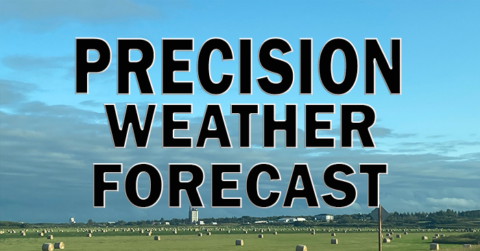 Precision Weather Forecast – July 2nd (Noon)