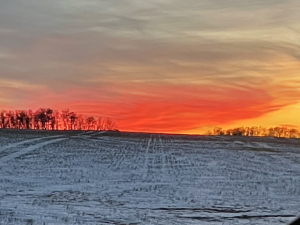 Red sky at night, sailors delight; red sky in the morning, sailors take warning.