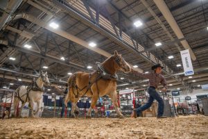 Ag Tech Awards, a new addition to Agribition