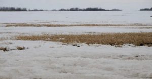 Recent snowfall improves WSA Spring Runoff Forecast