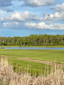 Foam Lake Golf & Country Club Men’s Night.