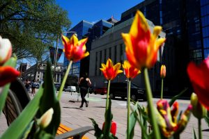 Bank of Canada’s next move less certain after inflation rate ticks higher in May