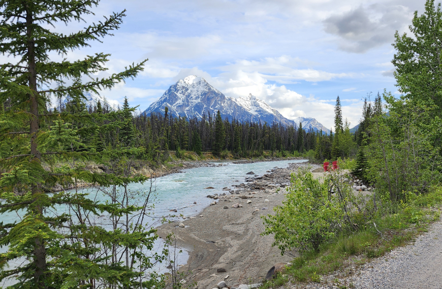 Exploring Jasper National Park and Beyond: Family Adventures in Alberta