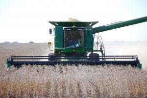 Harvest well over the halfway point, thanks to warm weather