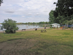 Zebra Mussels Discovered in Clear Lake