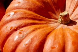 Porch Pumpkins.