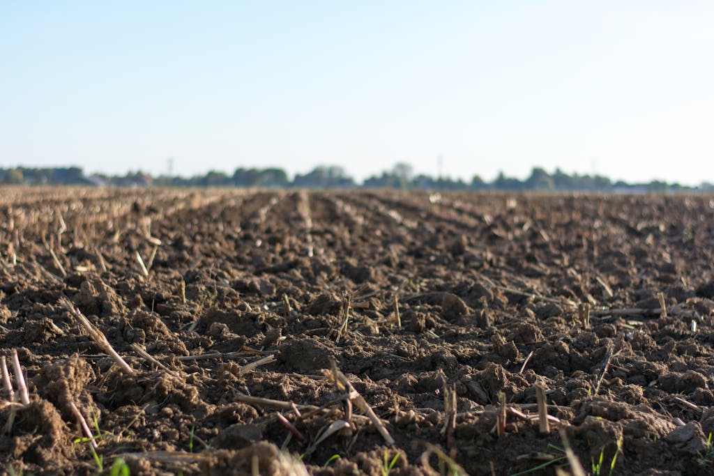 Farm land value increases in first half of 2024: FCC report