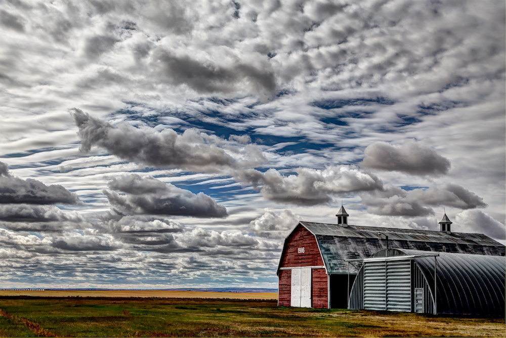 Ashley Stone with Farm & Food Care Saskatchewan on upcoming Open Farm Days event