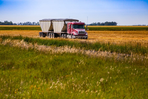 Canada Under Pressure to Produce More Food and Protect Agricultural Land:  Report