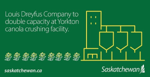 Saskatchewan Government Reacts to Expansion at LDC Yorkton Canola Crushing Plant