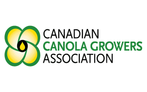 New-Crop Canola Futures Sagging