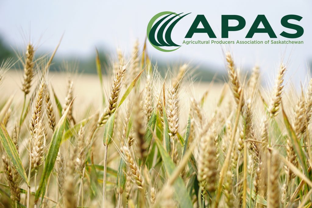 APAS Survey asking producers one simple question ahead of provincial election